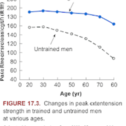 evolutie-van-extensiekracht-getrainde-vs-ongetrainde.png